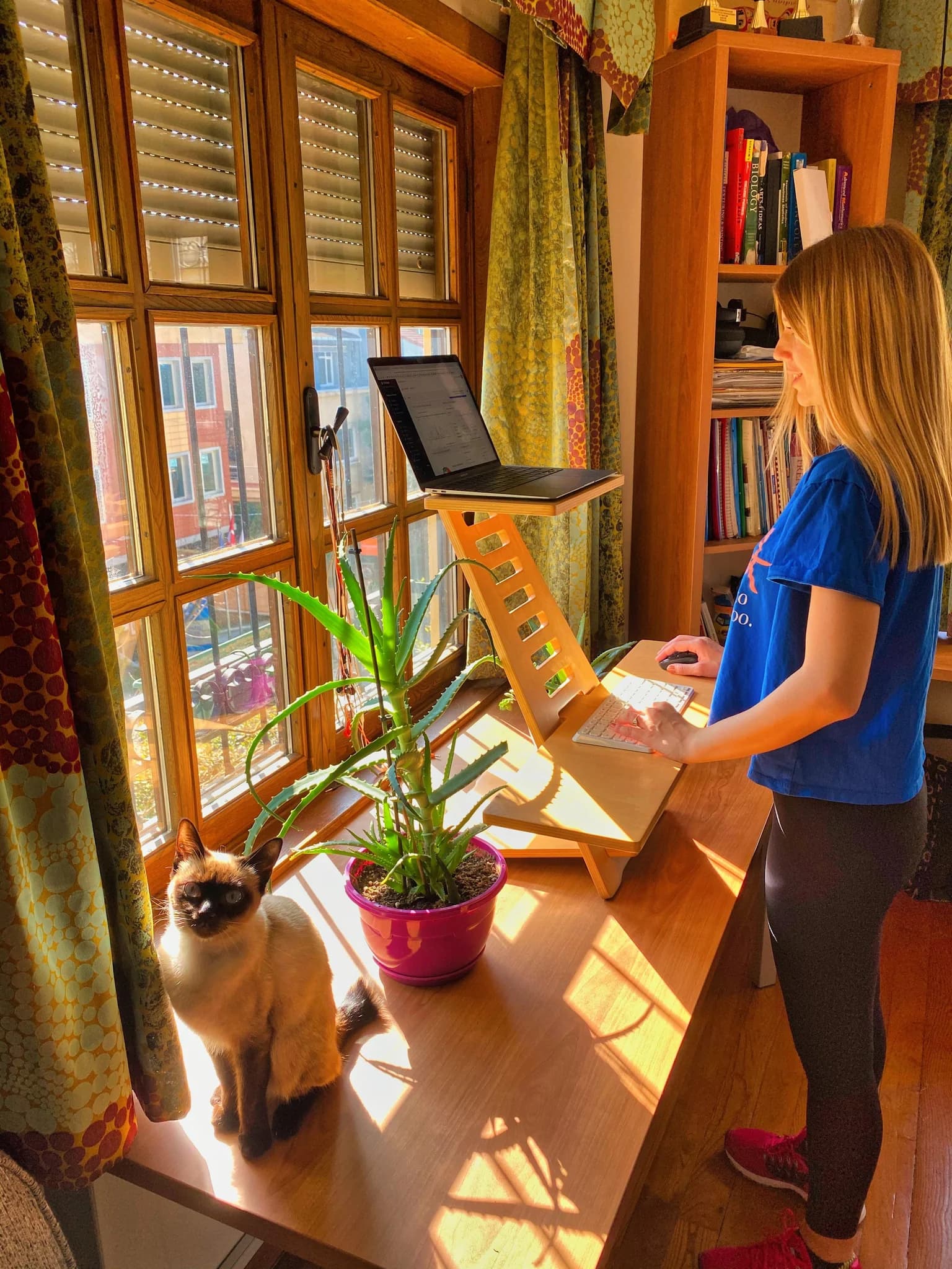 Sora Standing Desk - Thumbnail 3